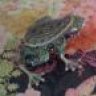 smokingfrog
