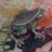 smokingfrog